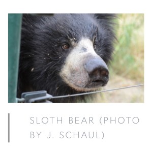 67E4C650-BE32-4376-8C66-68820AA43280