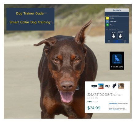 E303AD9C-8E90-4B9F-B1D0-ABDD4E0B2545