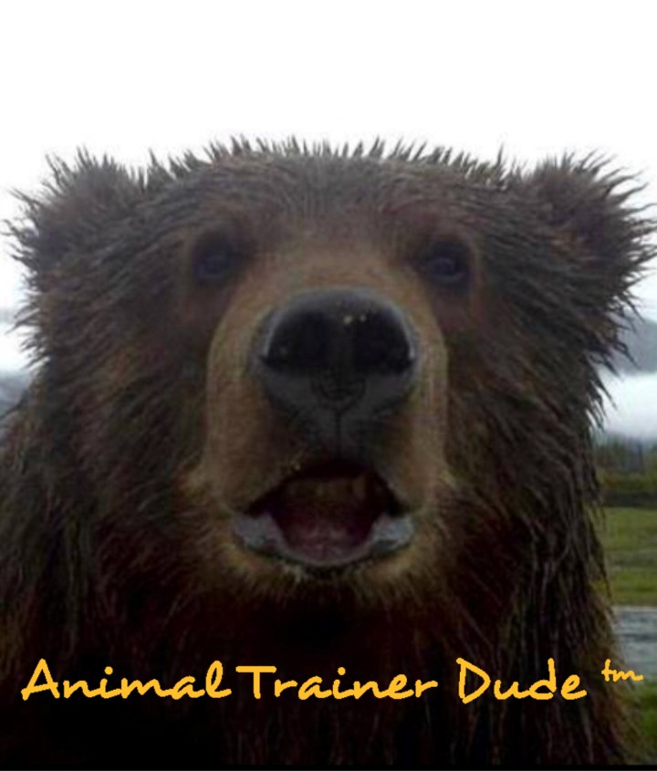 95A359E1-3C82-4730-B230-766D80E9F7EA